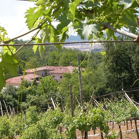 Agriturismo Ca' Verde SantʼAmbrogio di Valpolicella Zewnętrze zdjęcie