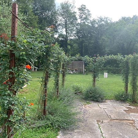 Agriturismo Ca' Verde SantʼAmbrogio di Valpolicella Zewnętrze zdjęcie