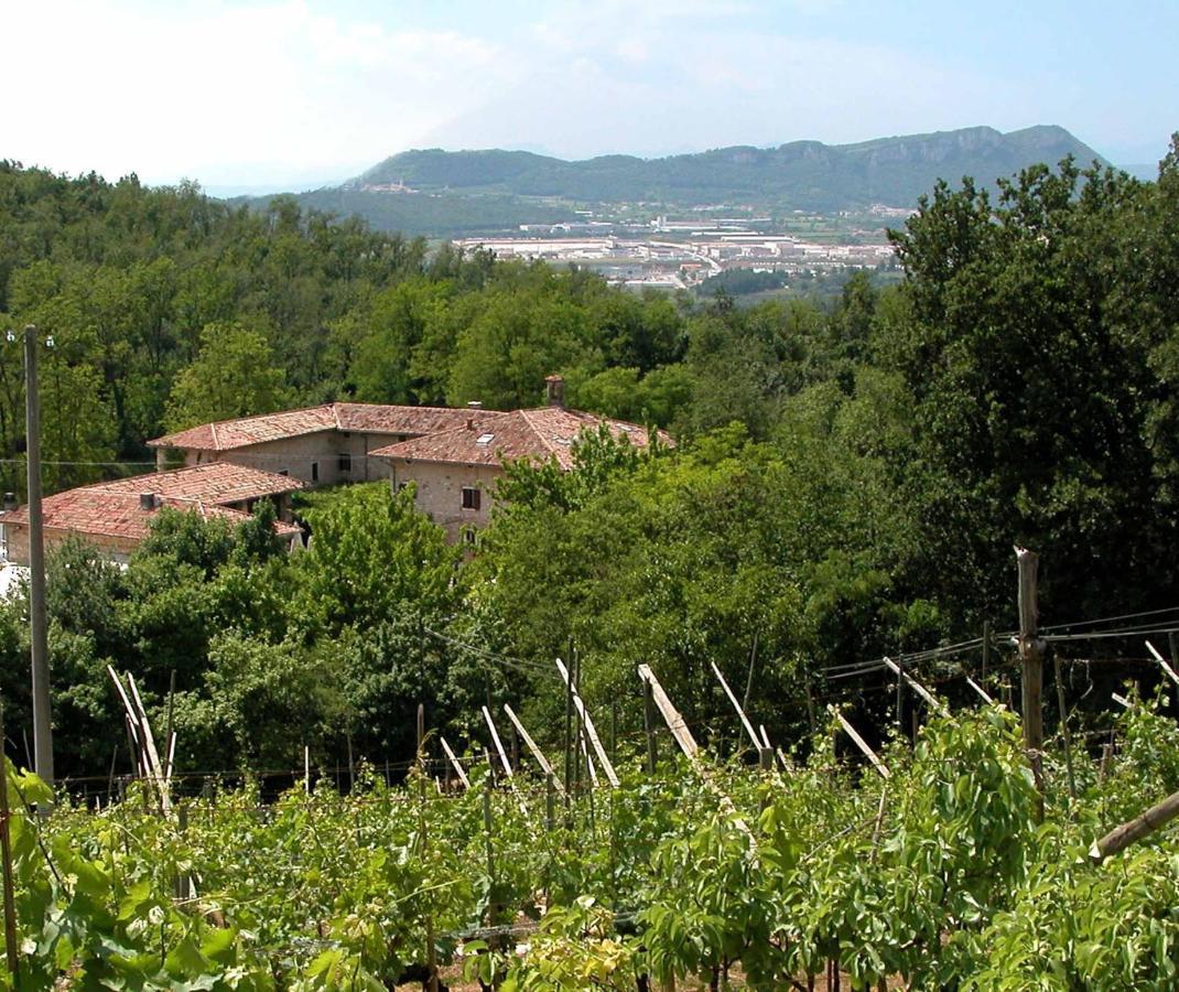 Agriturismo Ca' Verde SantʼAmbrogio di Valpolicella Zewnętrze zdjęcie