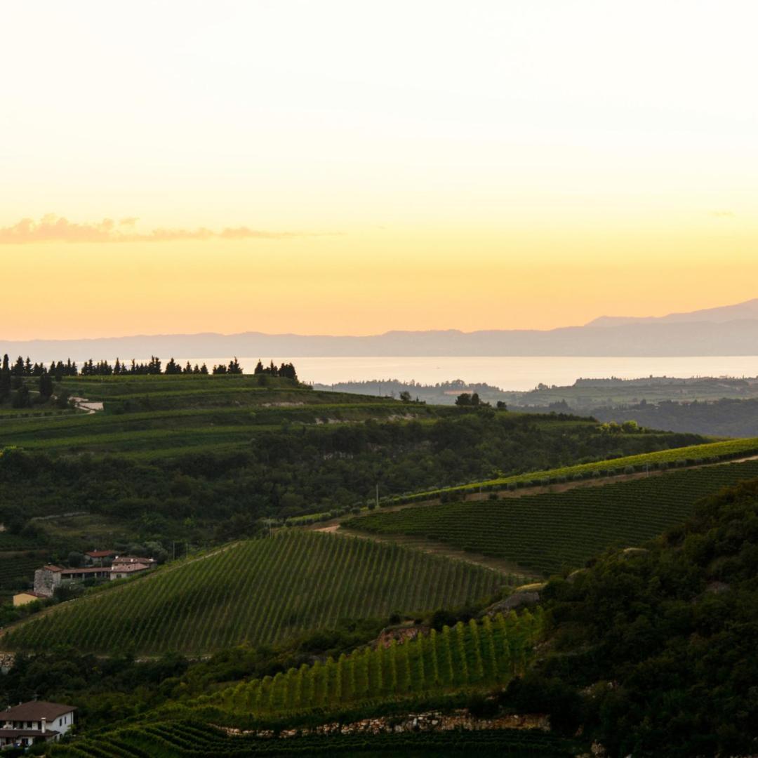 Agriturismo Ca' Verde SantʼAmbrogio di Valpolicella Zewnętrze zdjęcie