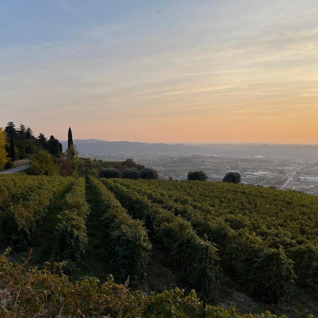 Agriturismo Ca' Verde SantʼAmbrogio di Valpolicella Zewnętrze zdjęcie