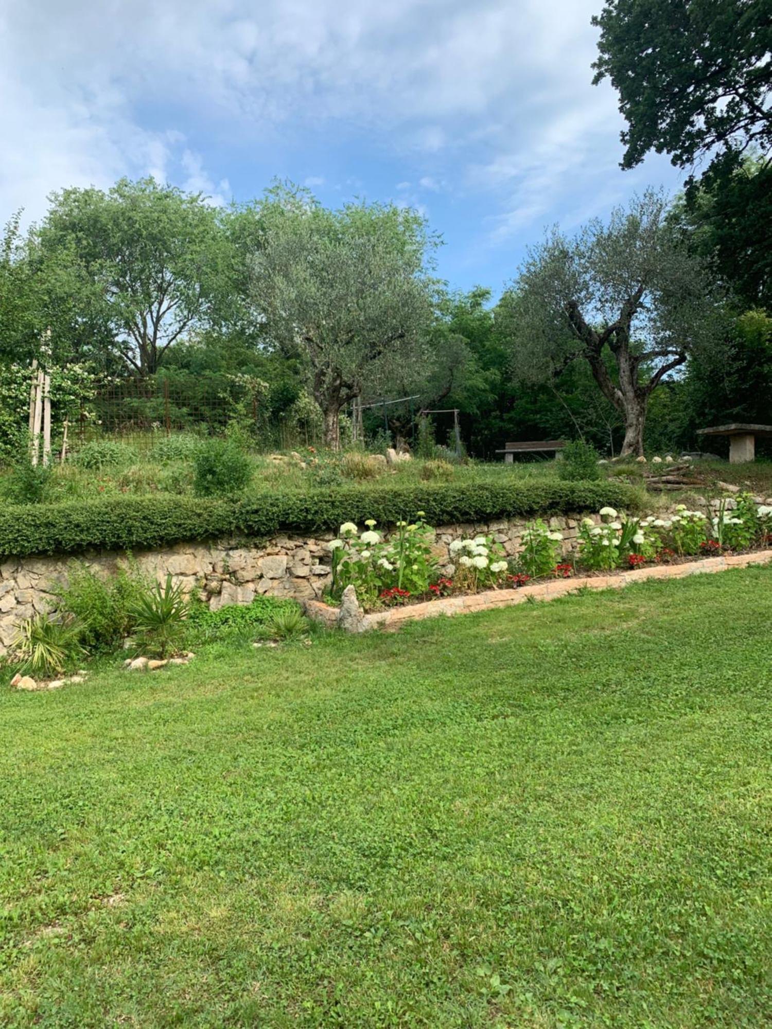 Agriturismo Ca' Verde SantʼAmbrogio di Valpolicella Zewnętrze zdjęcie