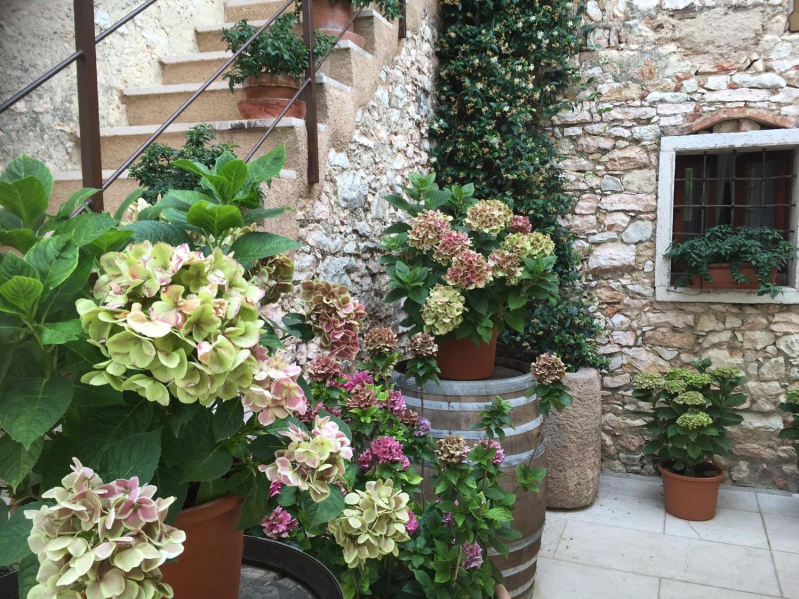Agriturismo Ca' Verde SantʼAmbrogio di Valpolicella Zewnętrze zdjęcie